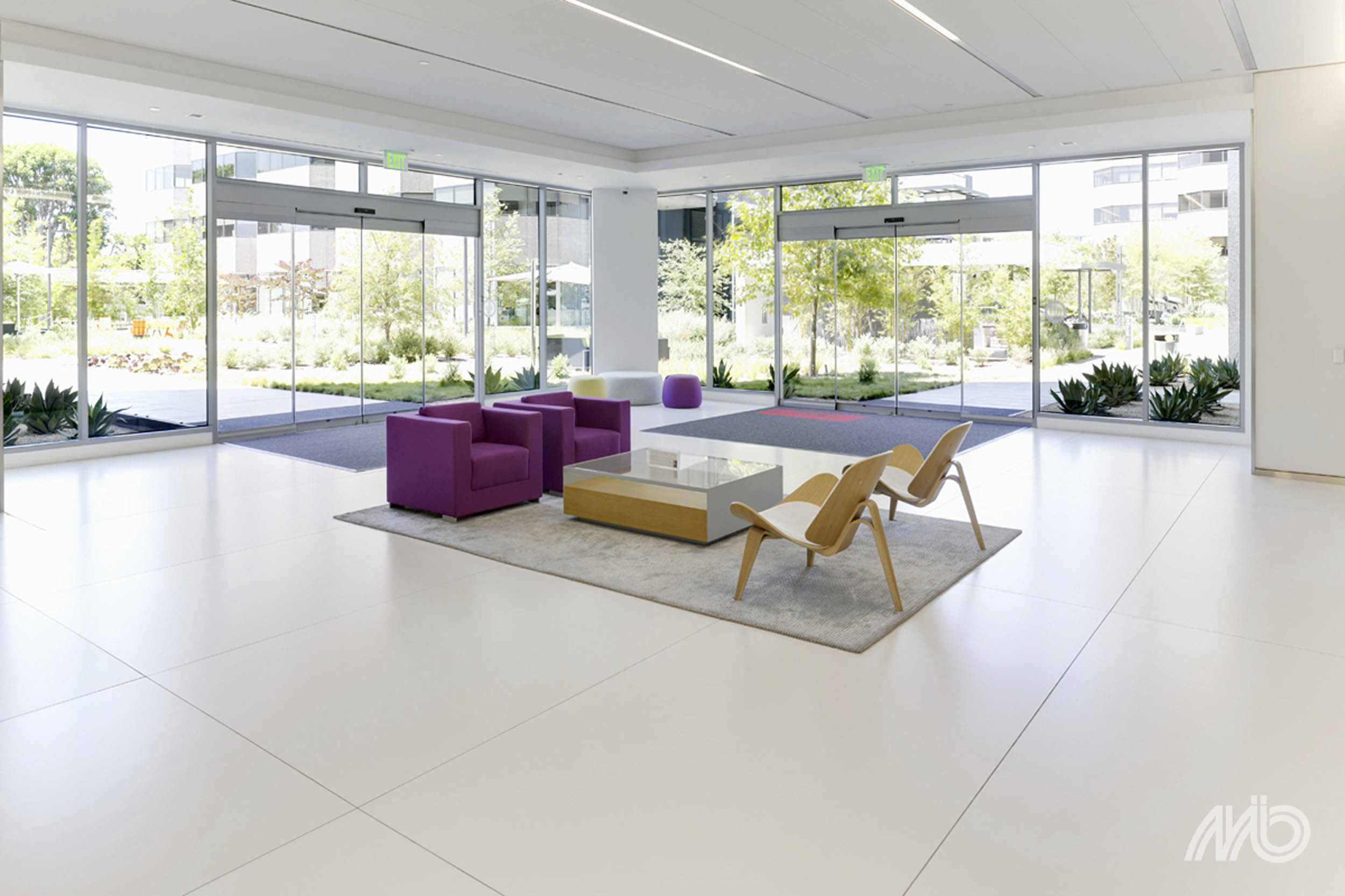 Nieve - Afbeelding 4