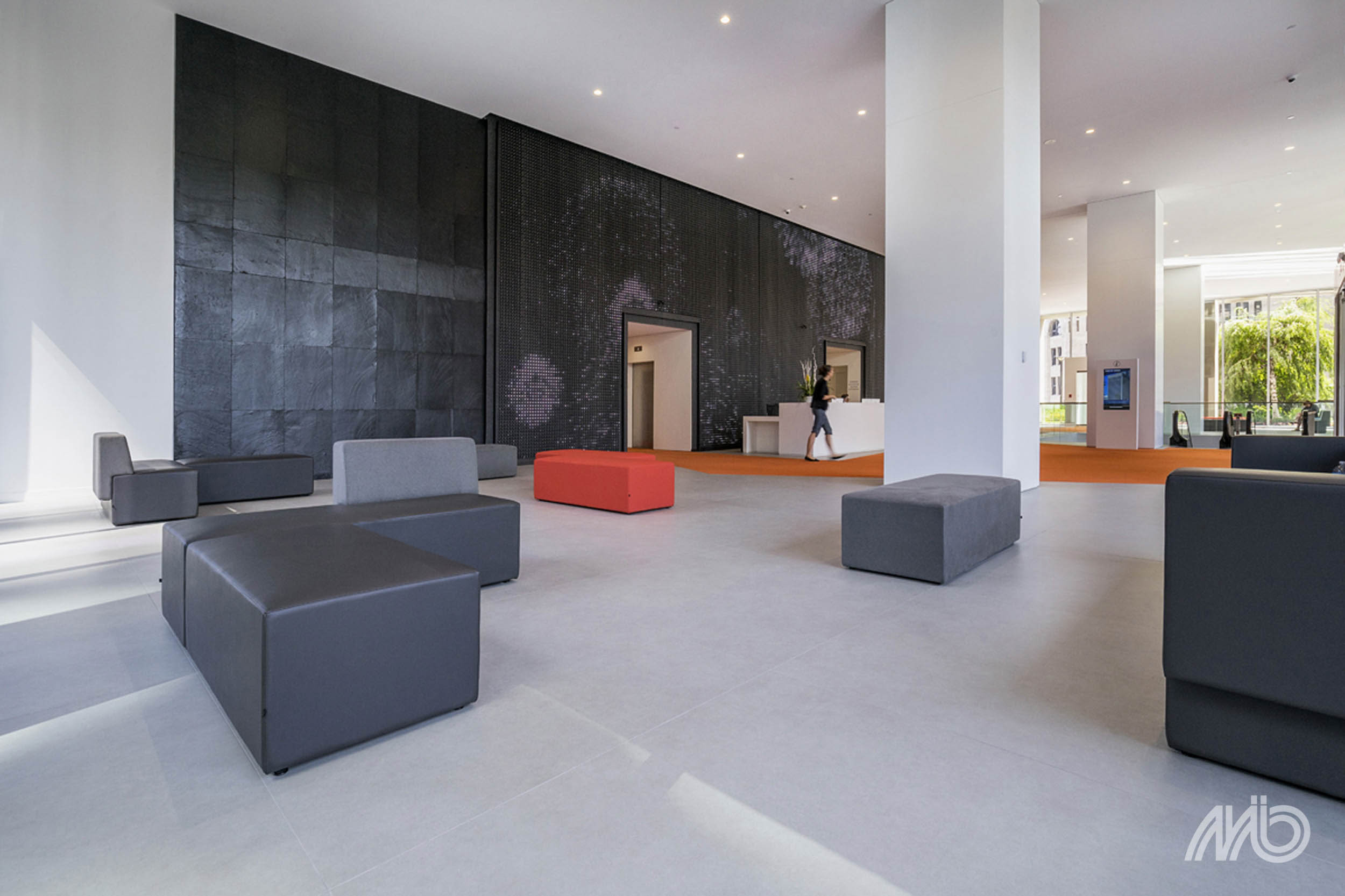 Phedra - Afbeelding 3