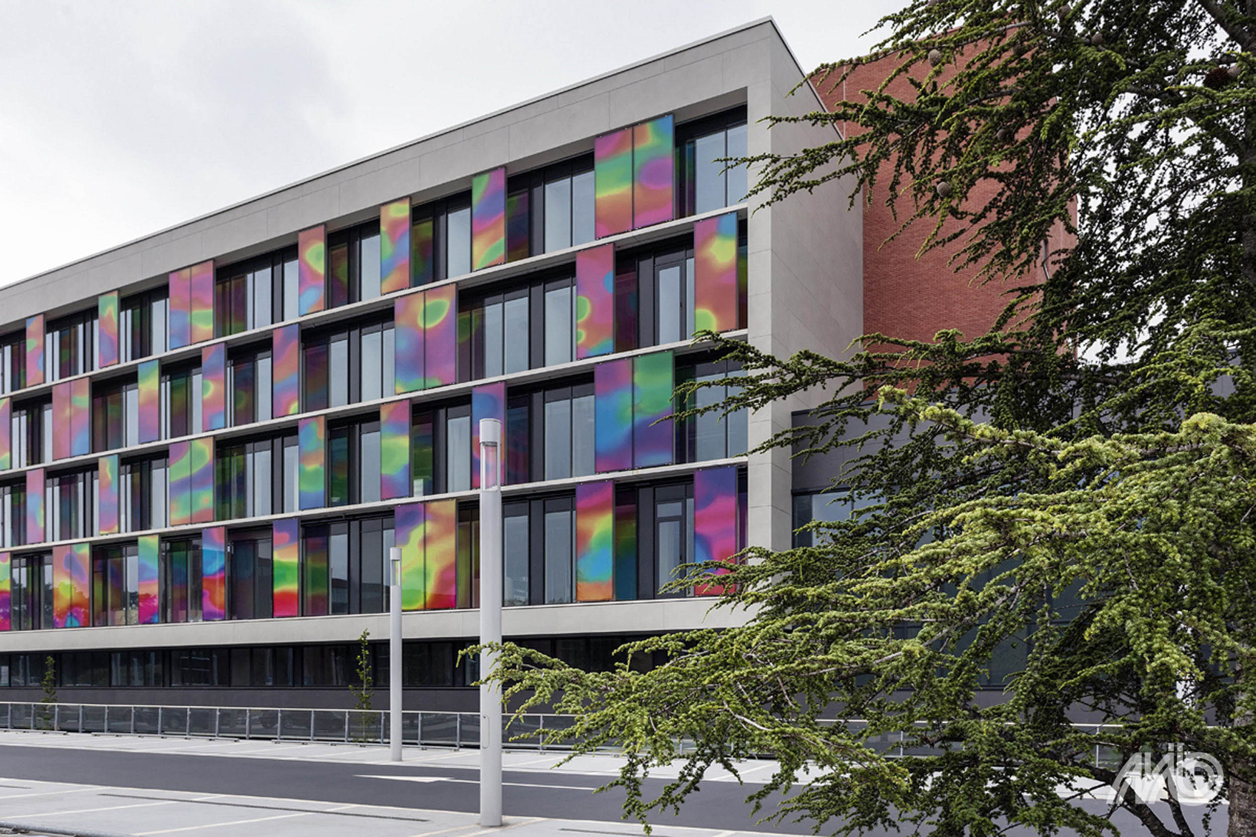 Phedra - Afbeelding 5